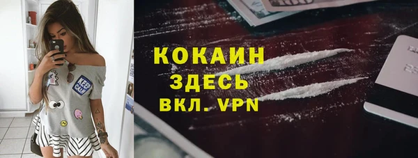 мдпв Дмитриев