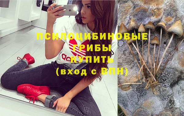 не бодяженный Дмитров