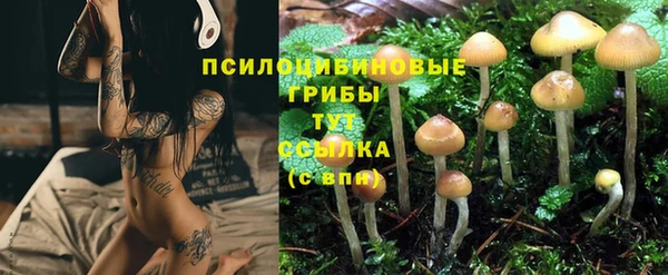 MDMA Дмитровск
