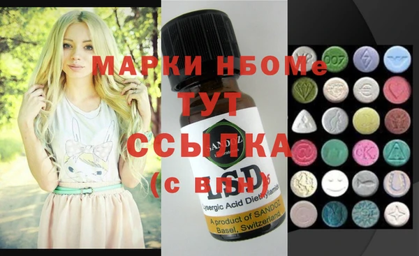 хмурый Губаха