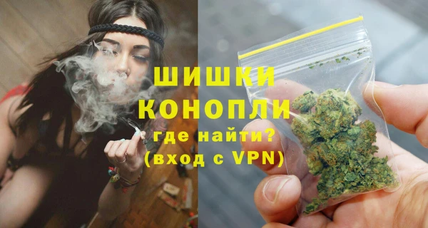 мдпв Дмитриев