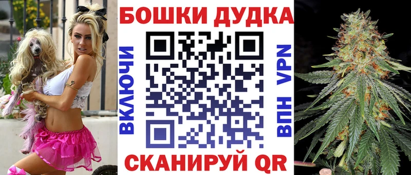 закладки  Дубовка  Бошки Шишки план 